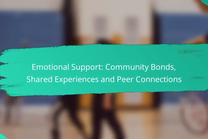 Emotional Support: Community Bonds, Shared Experiences and Peer Connections