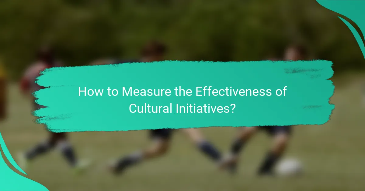 How to Measure the Effectiveness of Cultural Initiatives?