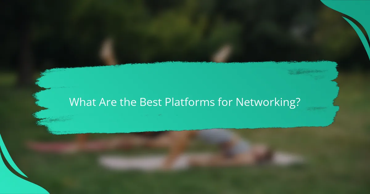 What Are the Best Platforms for Networking?