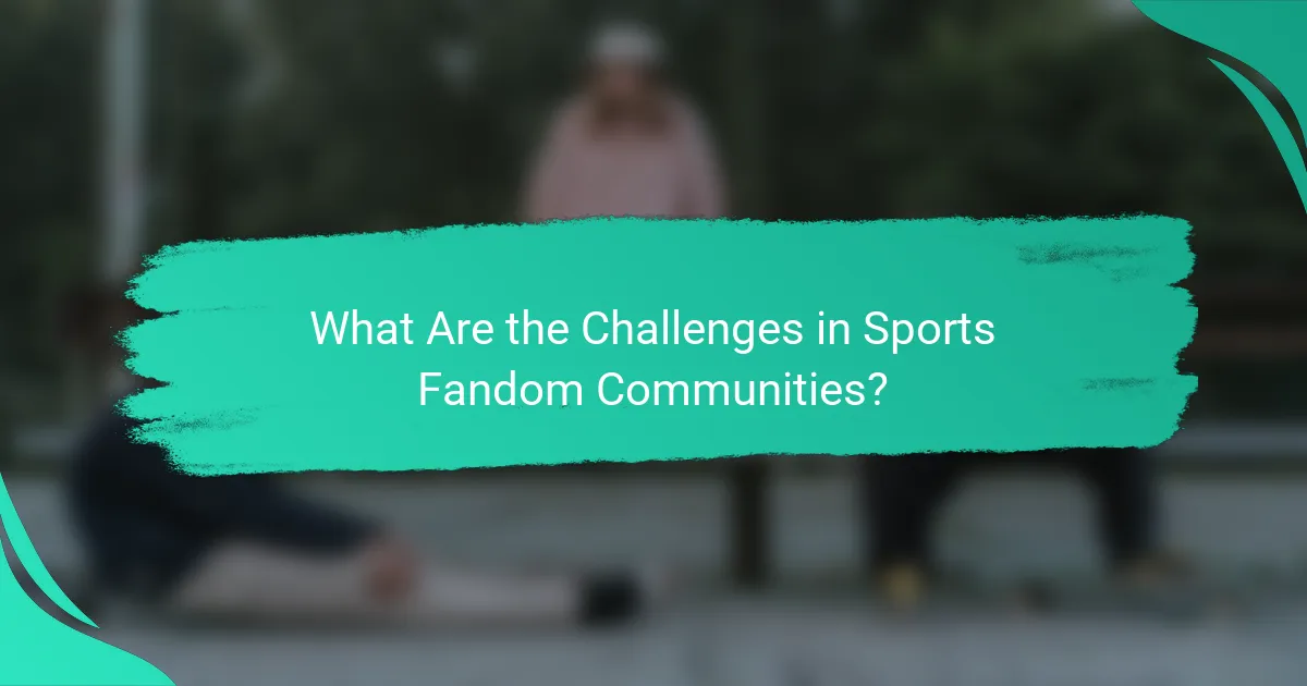 What Are the Challenges in Sports Fandom Communities?