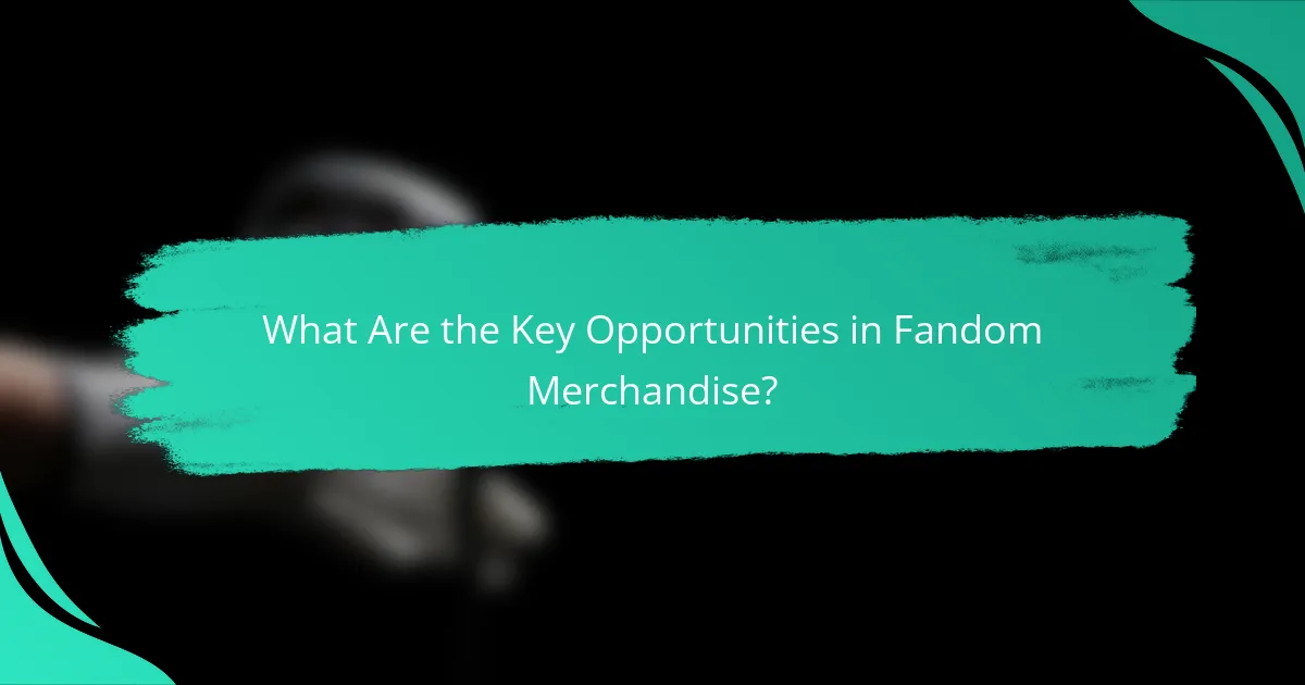What Are the Key Opportunities in Fandom Merchandise?