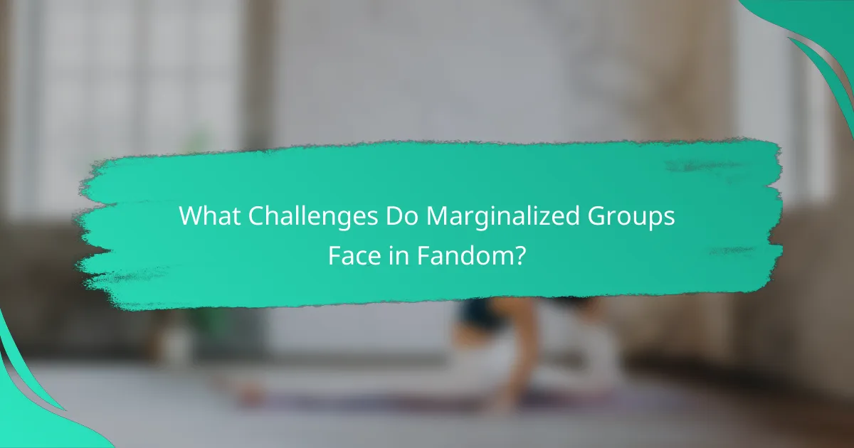 What Challenges Do Marginalized Groups Face in Fandom?