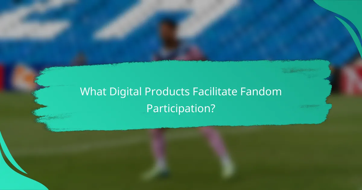 What Digital Products Facilitate Fandom Participation?