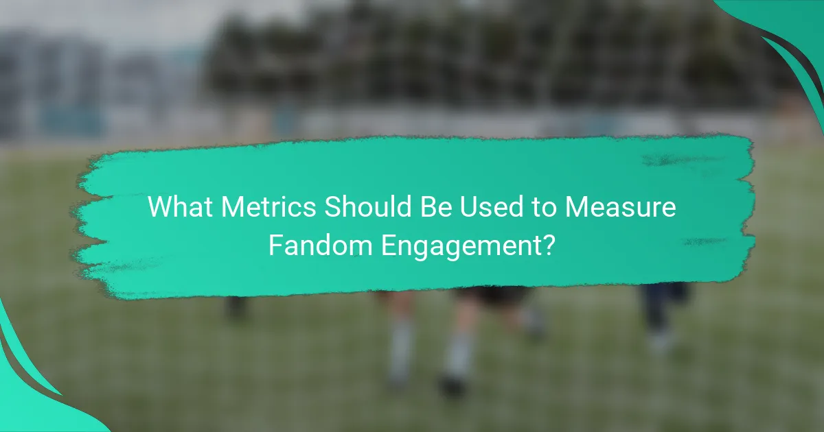 What Metrics Should Be Used to Measure Fandom Engagement?